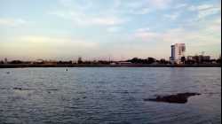 DRONGO RC Plane (150%)